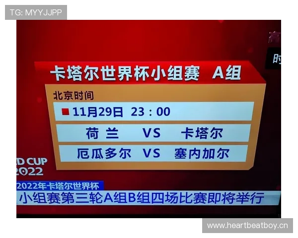 世界杯B组卡塔尔晋级概率公布
